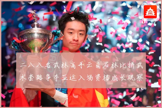 二八八名武林高手云南石林比拼武术套路争夺亚运入场资格成长观察-深度解析