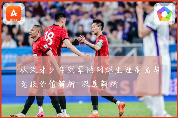 从天才少年到草地网球生涯高光与竞技价值解析-深度解析