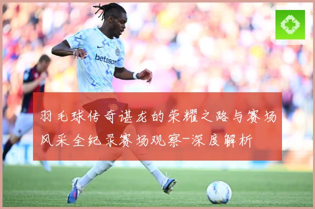 羽毛球传奇谌龙的荣耀之路与赛场风采全纪录赛场观察-深度解析